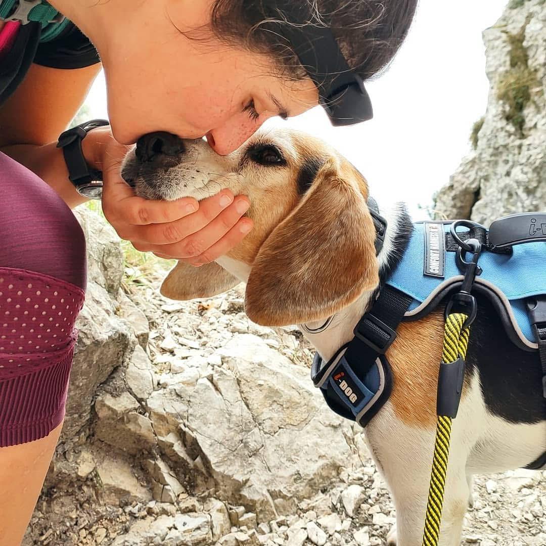 Orietta Orsini, educatore cinofilo a Marcon, in un momento di affetto con un cane in escursione